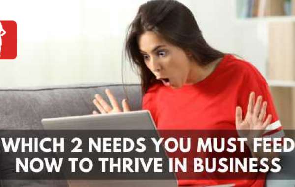 Which Two Needs You Must Feed NOW To Thrive In Business