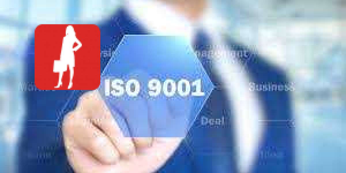 How to document roles and responsibilities according to ISO 9001 in Kuwait?