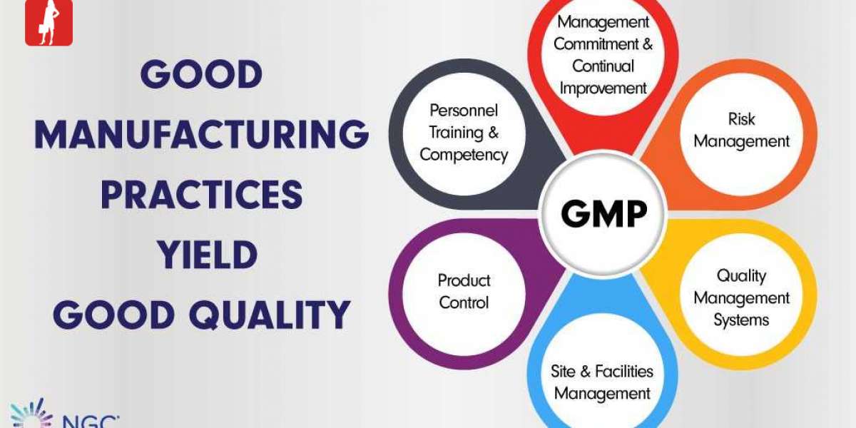 Good manufacturing practice (GMP)