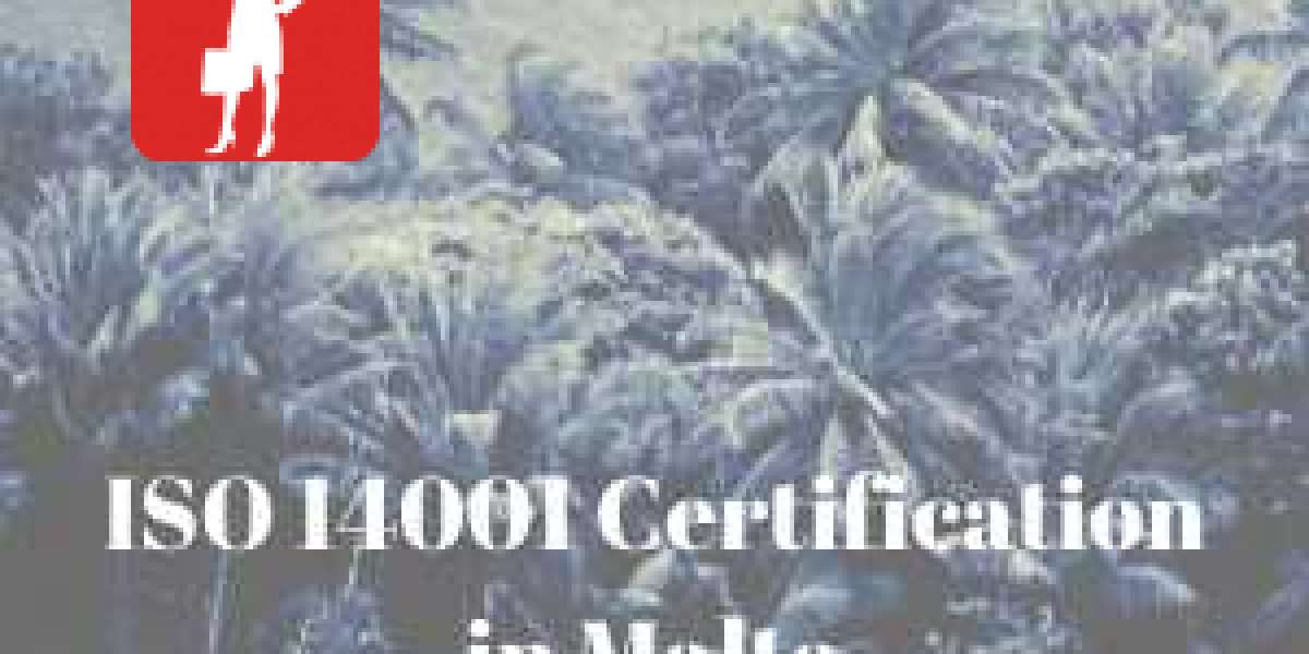 How to organize a training program for ISO 14001 Certification in Malta