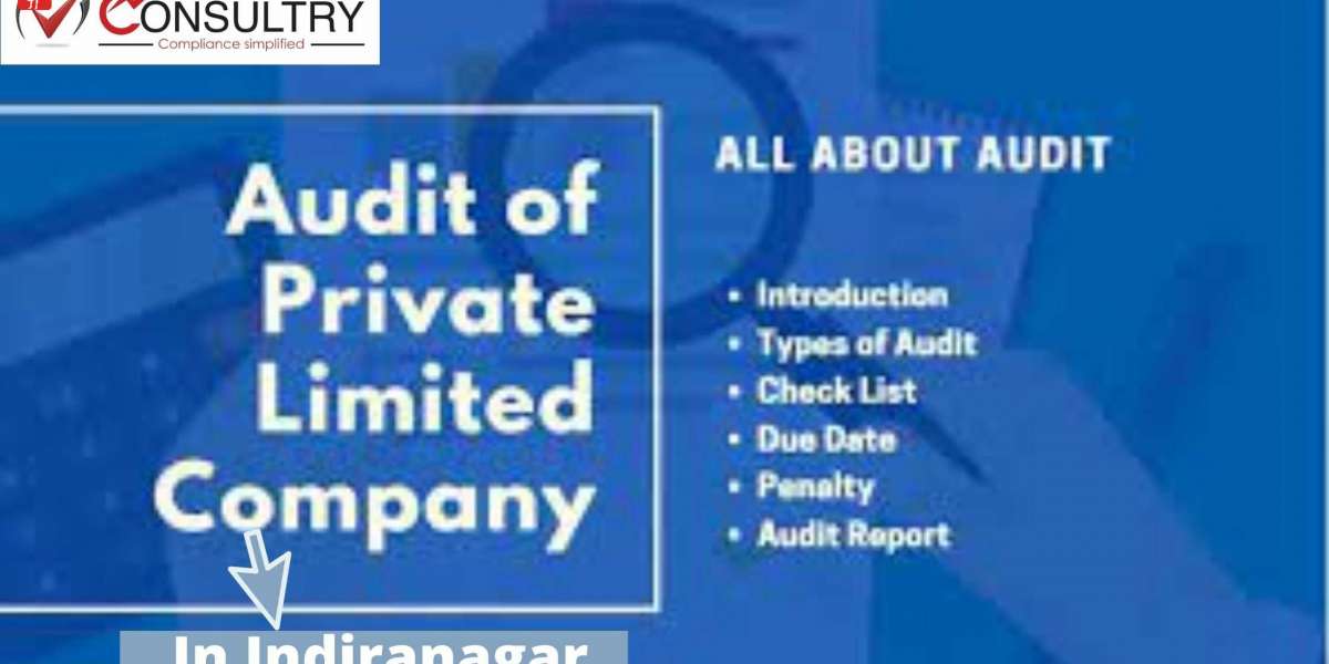 MCA Guidelines for Accounting and Auditing for Private Limited Companies in Indiranagar