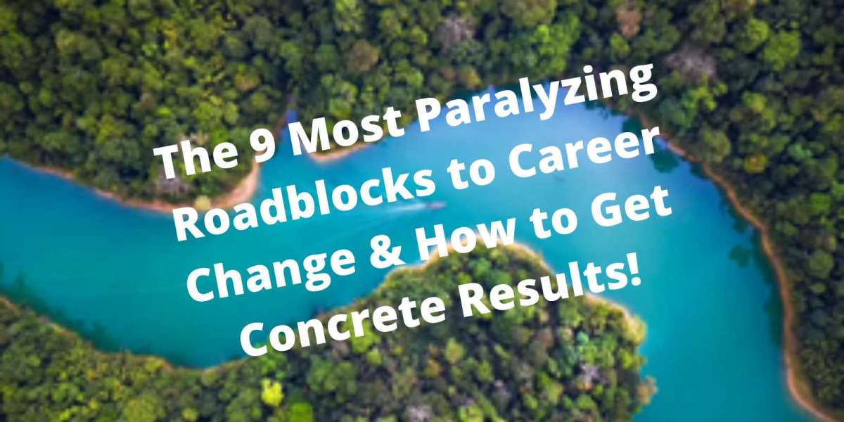 The 9 Most Paralyzing Roadblocks to career Change  How to get concrete Results